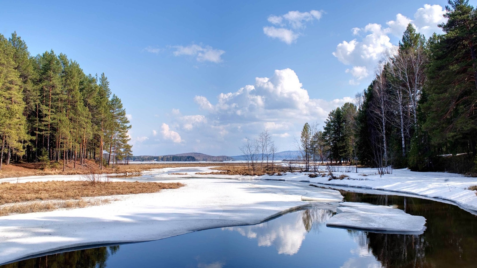 winter, river, delta, snow, trees, mountain