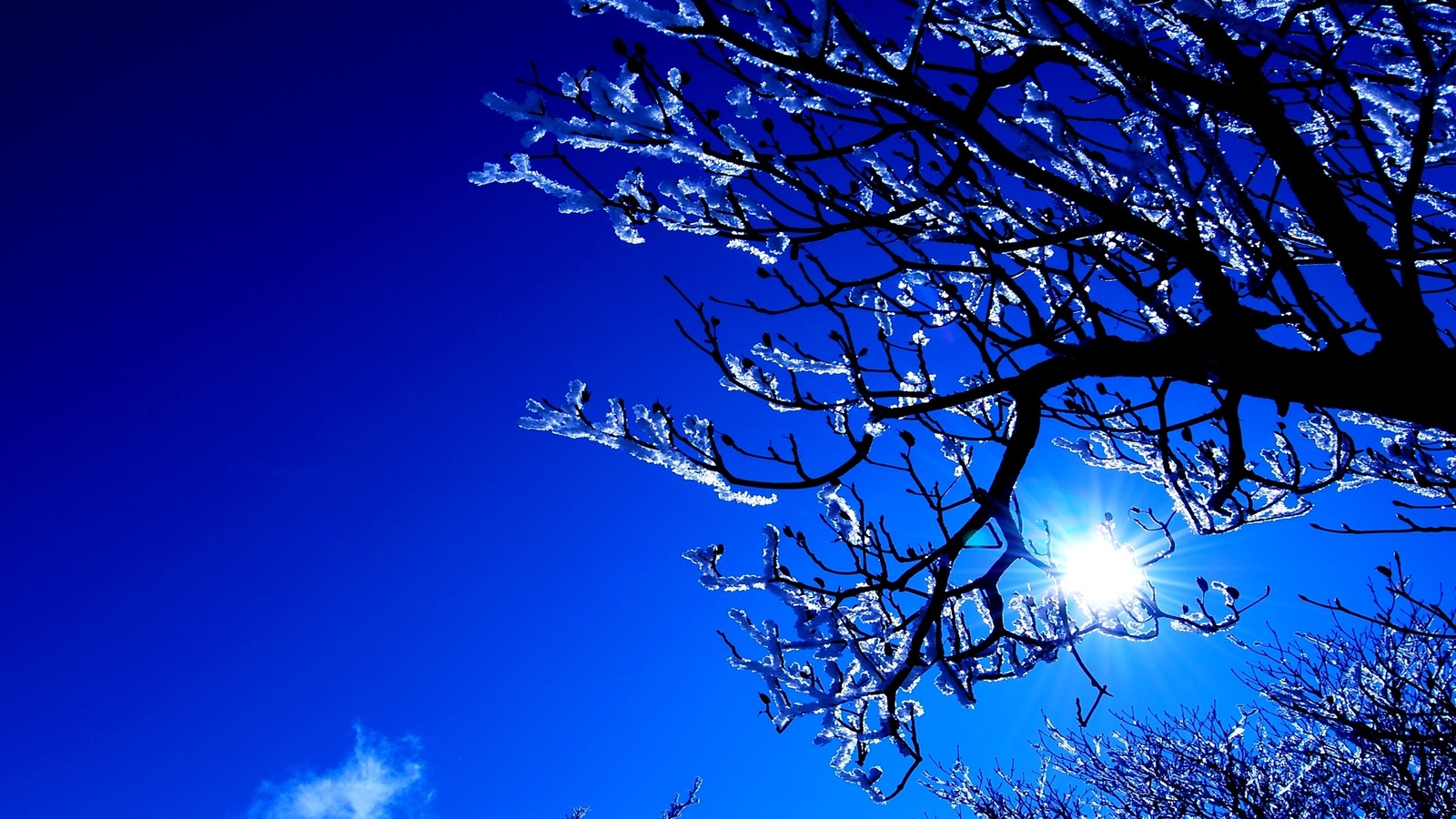 winter, mountain, snow, trees, road, sun, sky, blue