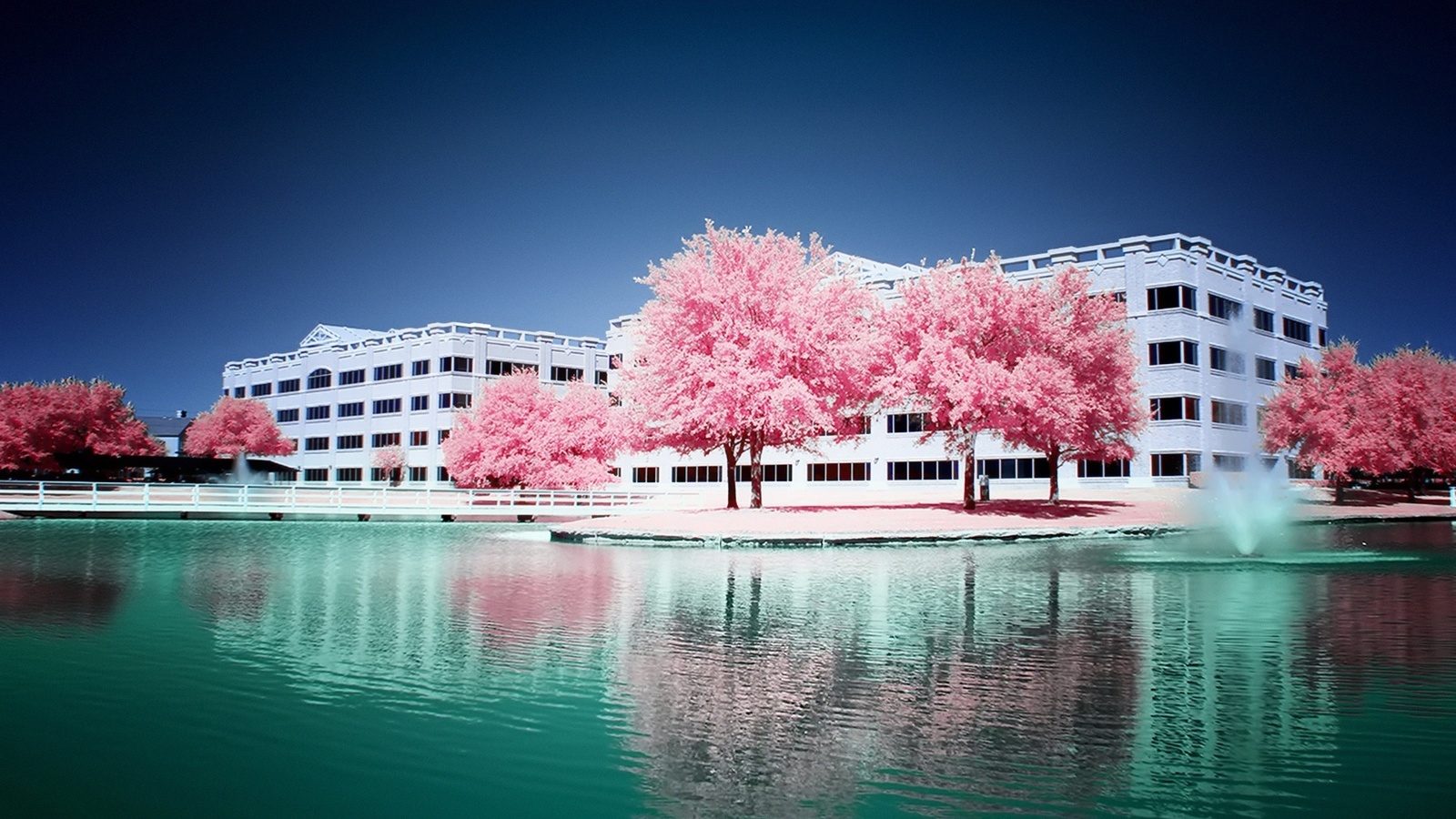 pink, trees, water, fount, building, sky, , 