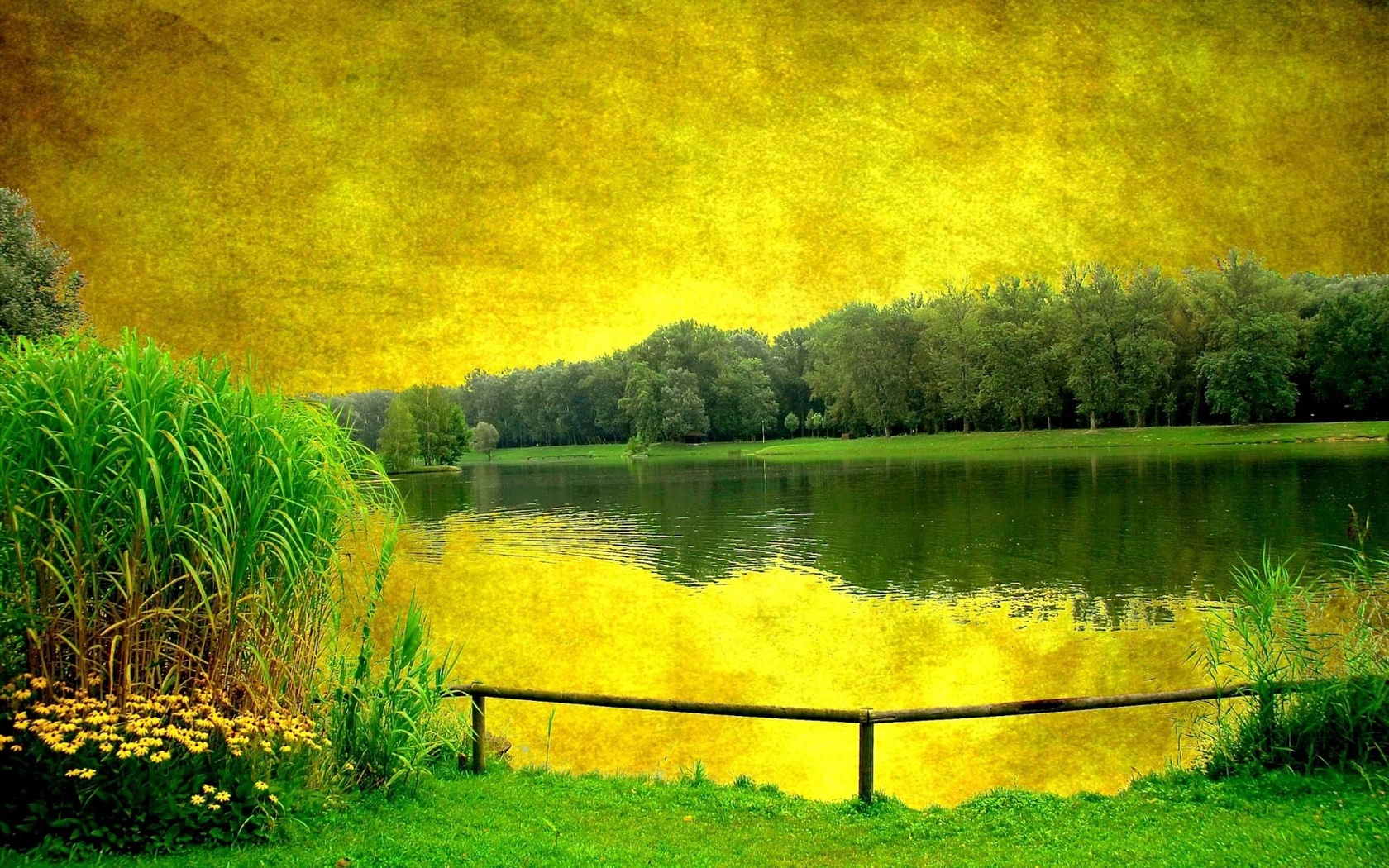 yellow, sky, scenary, lake, trees, green