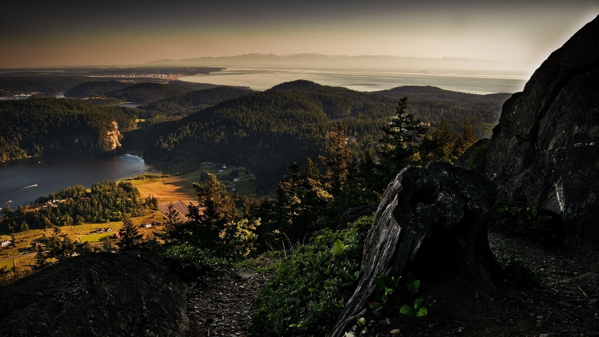 mountain, view, lake, trees