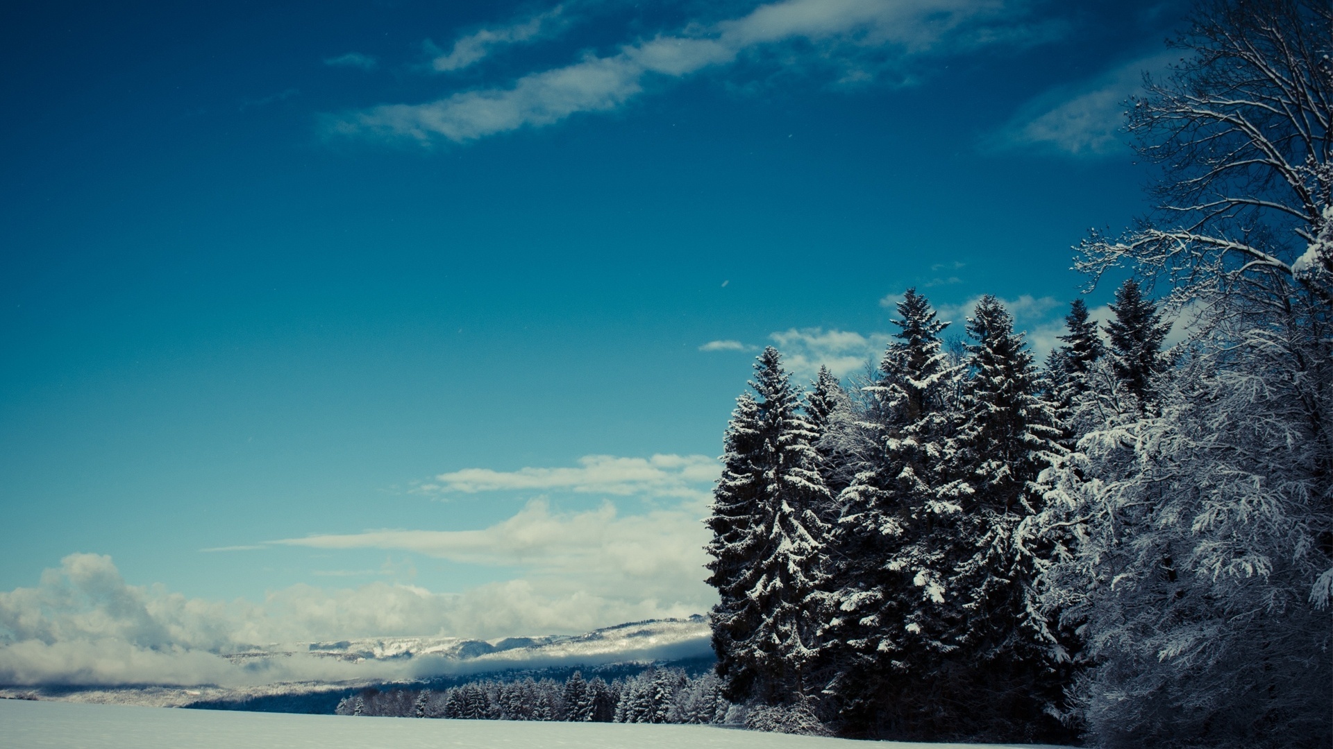 winter, trees, mountain, snow, clouds, sky