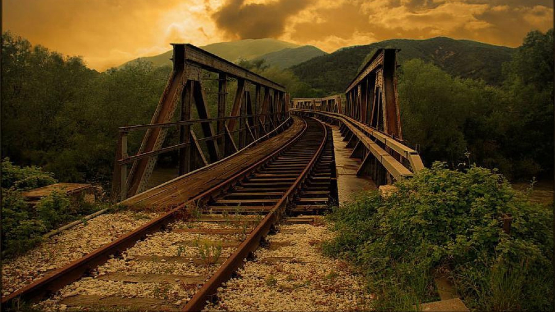 bridge, way, trees, river, forest, sky