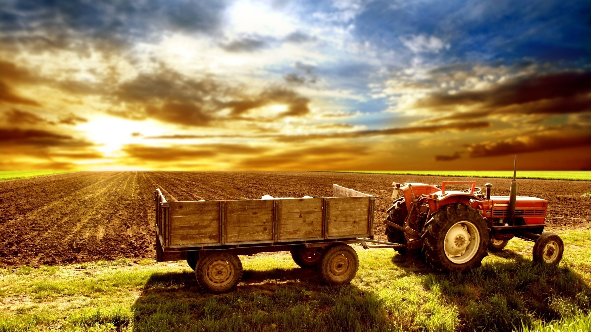 tractor, fields, sunrise, sky, sun