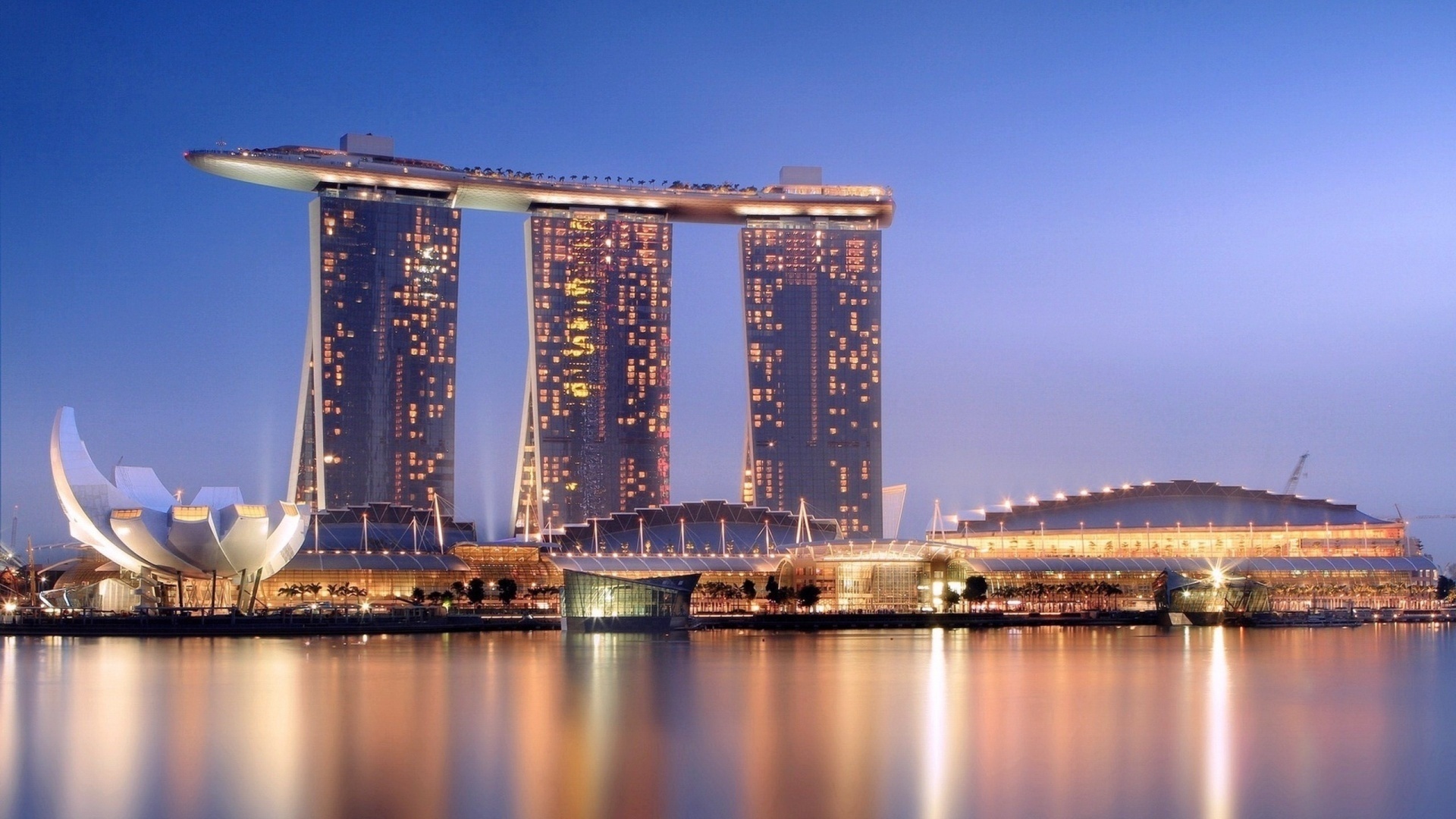 marina, bay, ocean, night, light