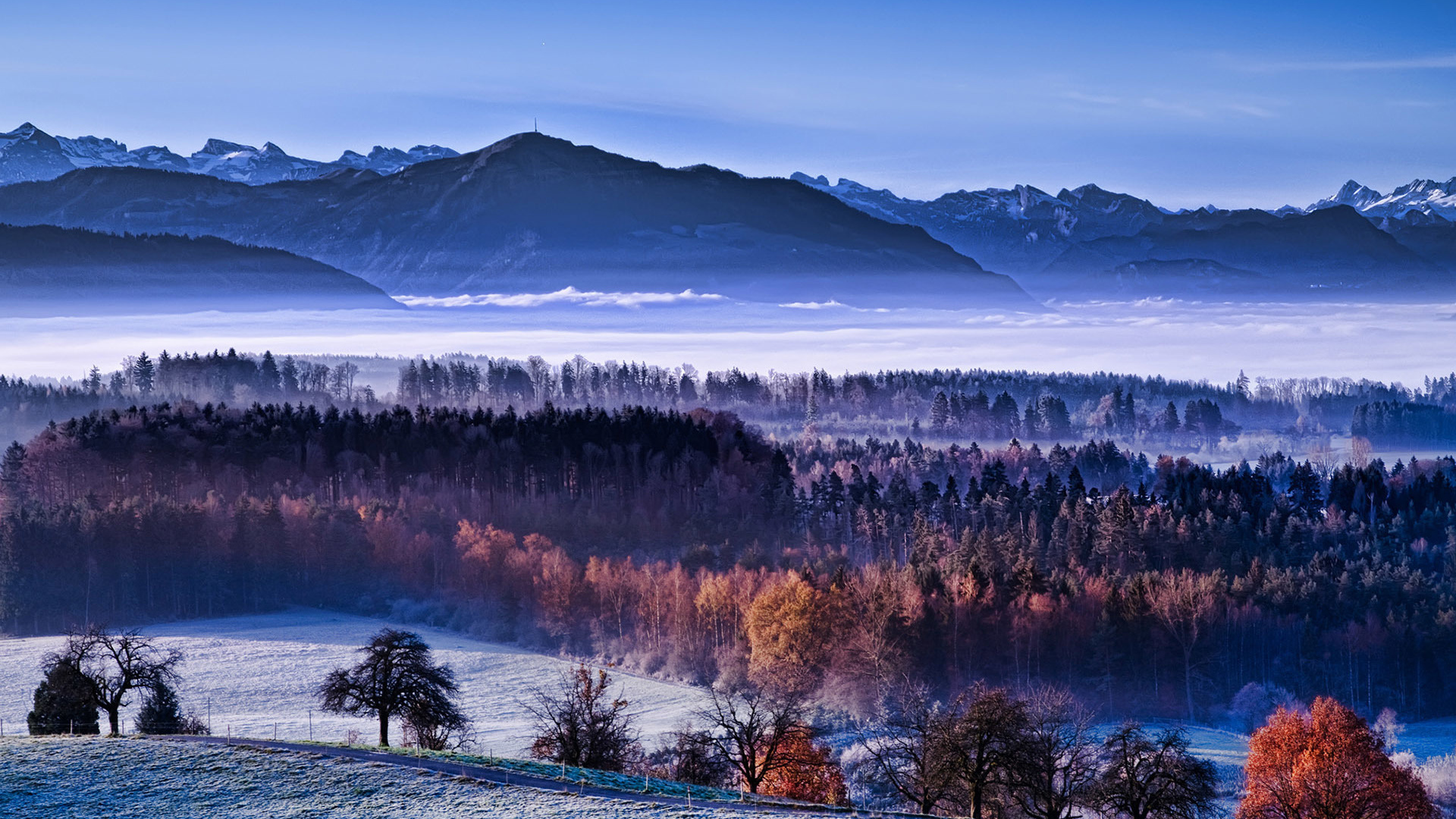 foggy, winter, trees, snow, ice, mountain