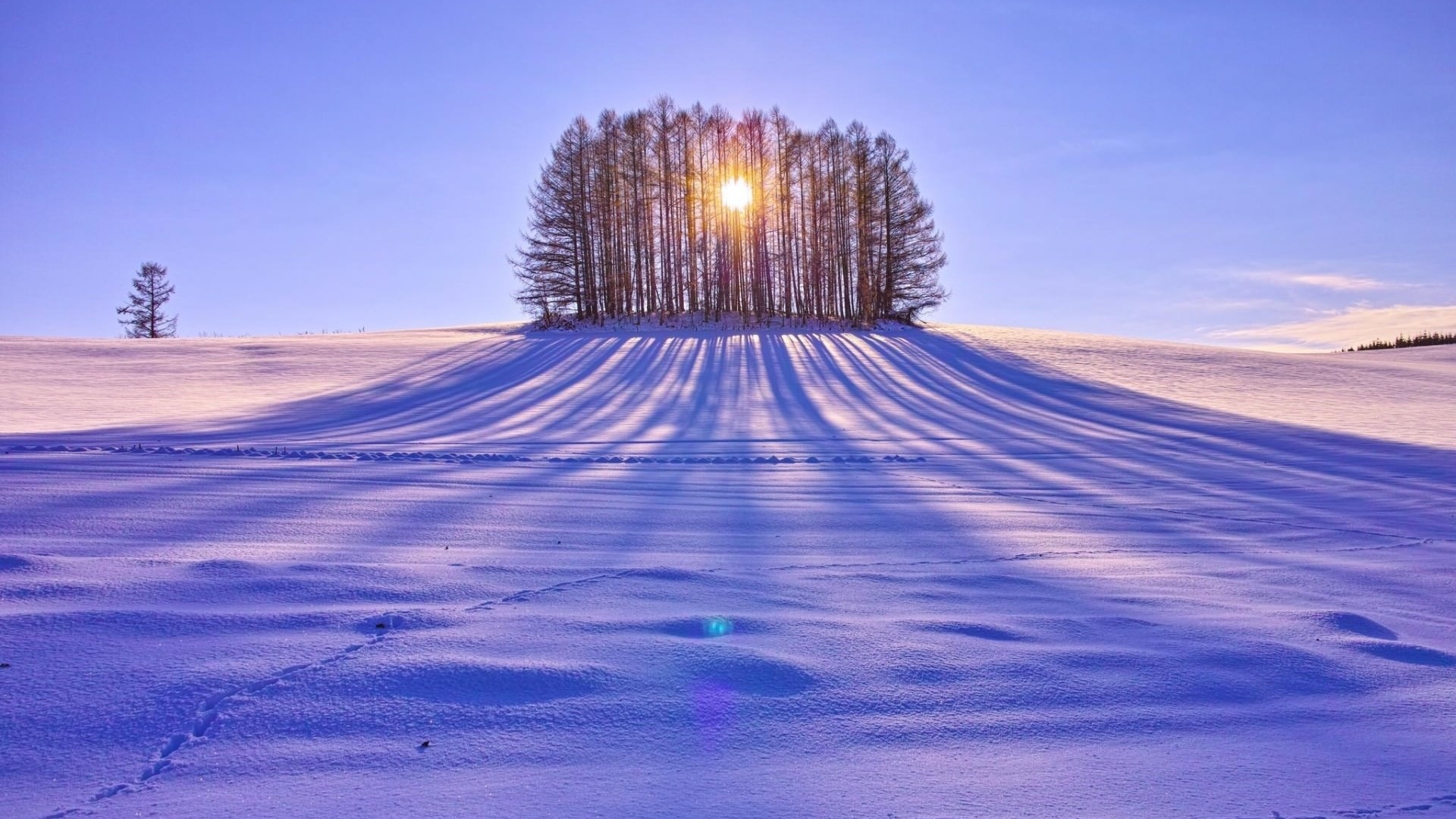 winter, mountain, snow, trees, road, sun, sky, blue