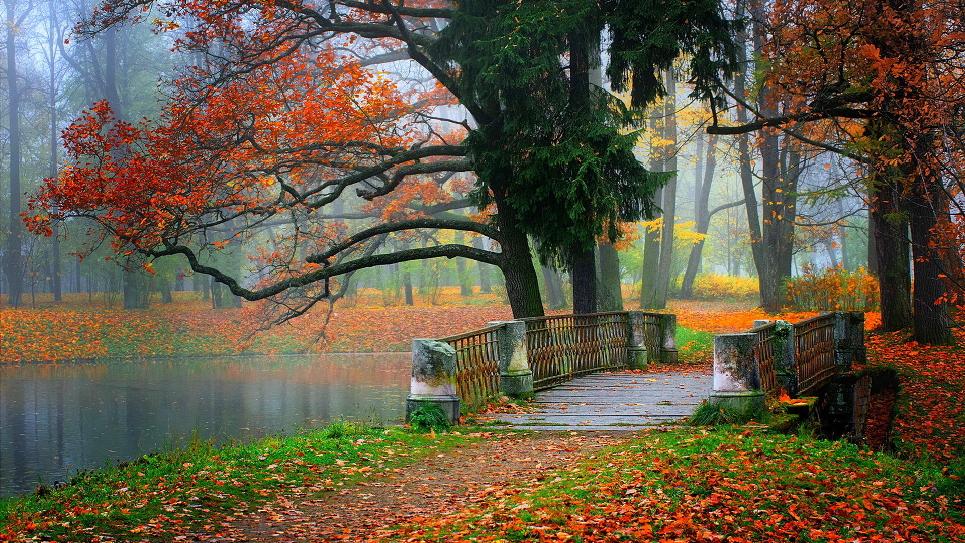 bridge, autumn, leaves, trees, path