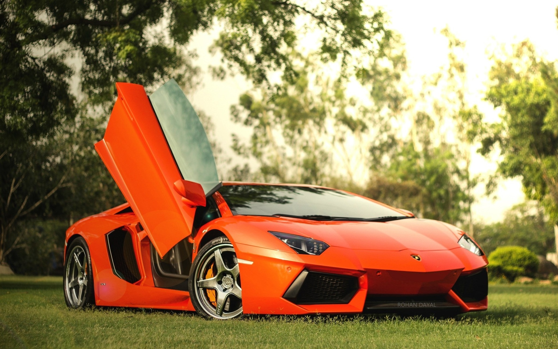 , , lamborghini, aventador, aventador lp-700