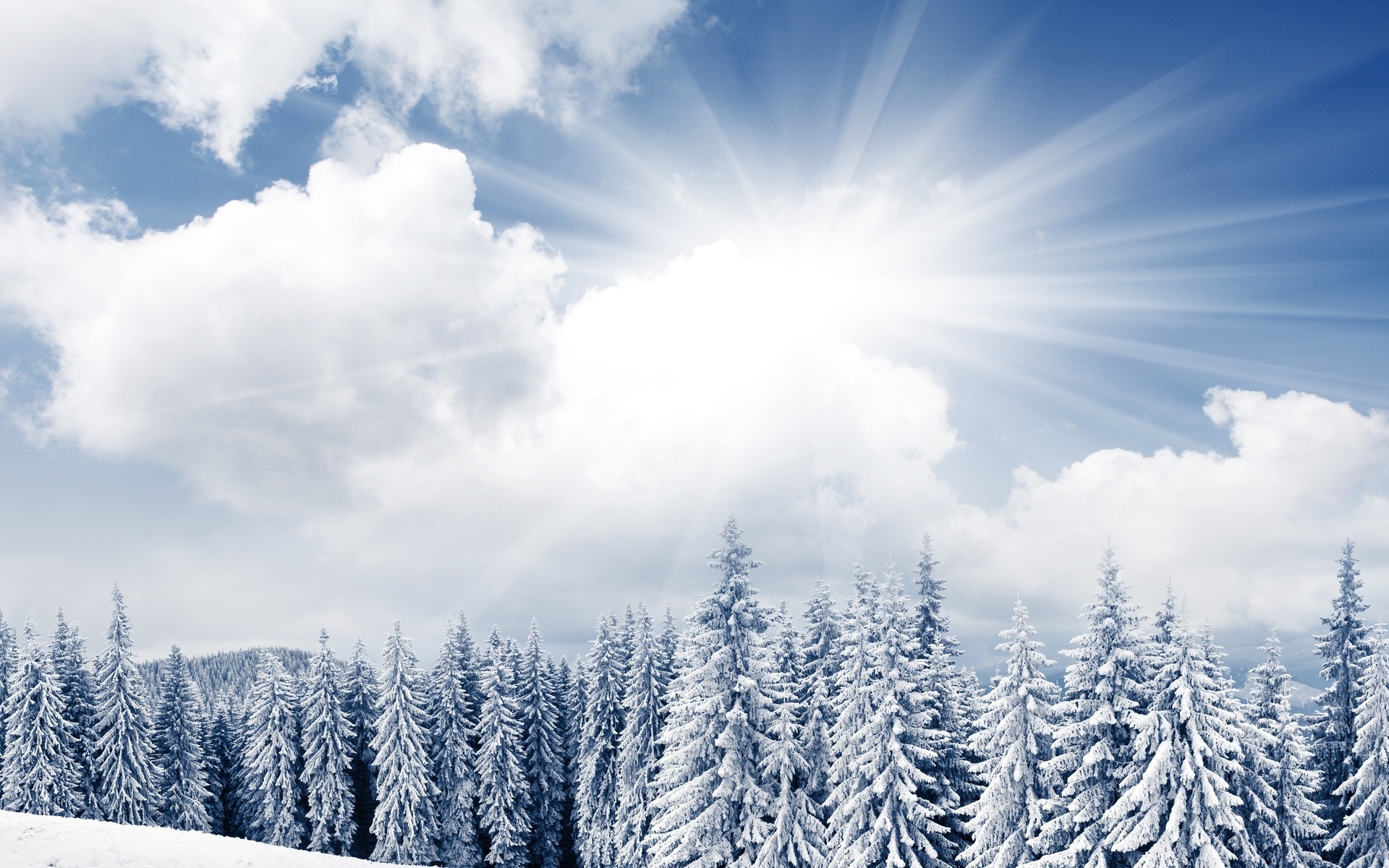 winter, mountain, snow, trees, sunlight, , , , , , , , , , , , 