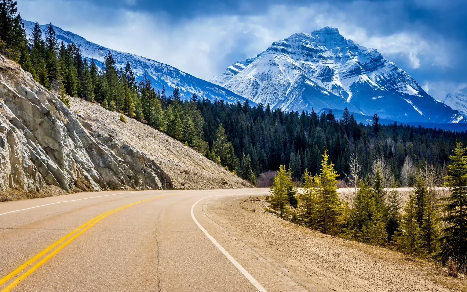 jasper, canada, park, road, tree, sky, mountain