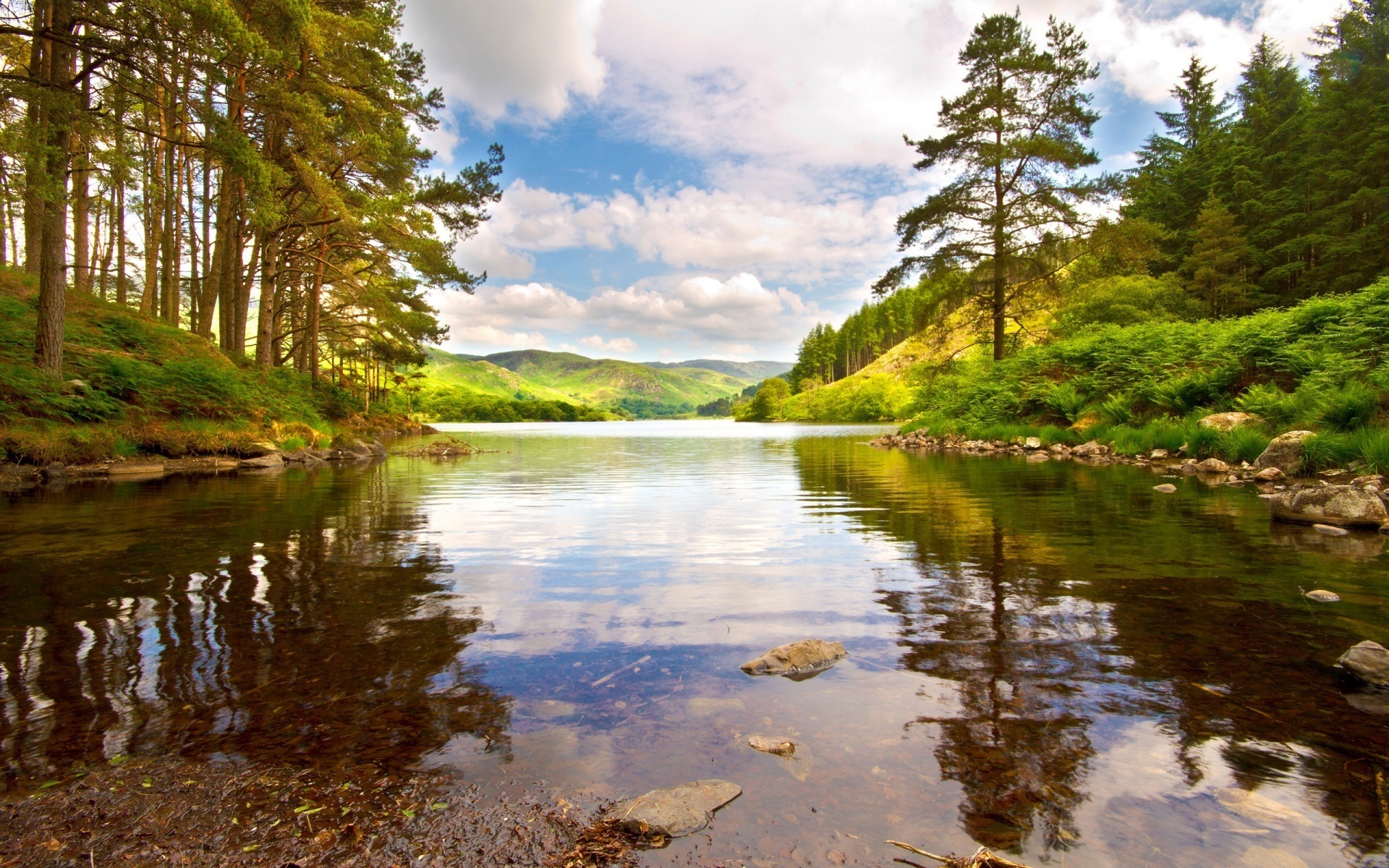 river, tree, water, grass, clouds, sky, green