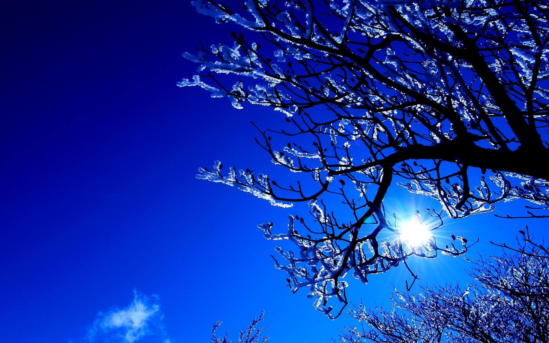 winter, mountain, snow, trees, road, sun, sky, blue