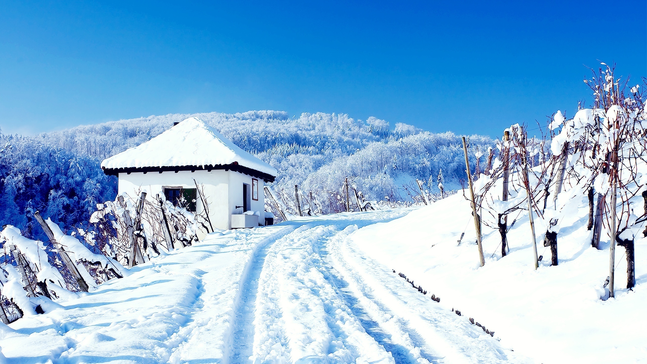 mountain, house, cottage, snowy, tree, patch