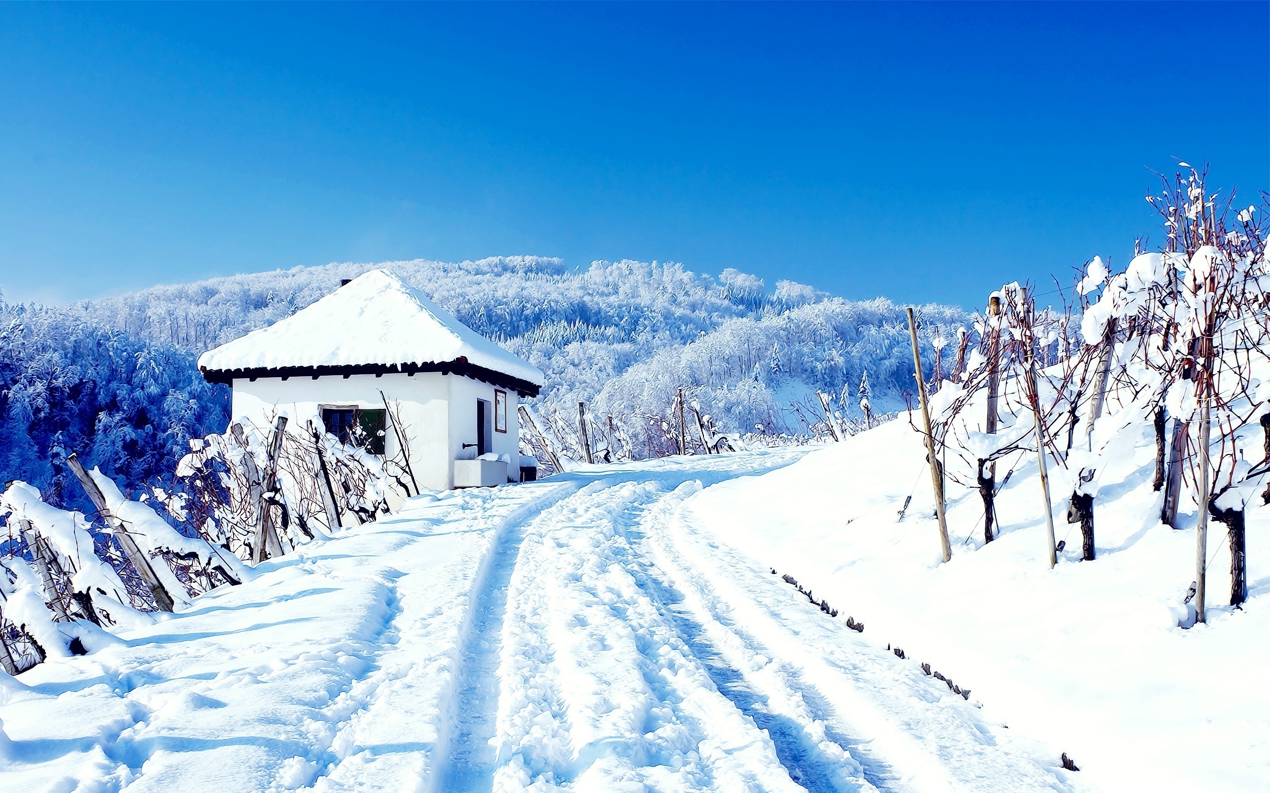 mountain, house, cottage, snowy, tree, patch