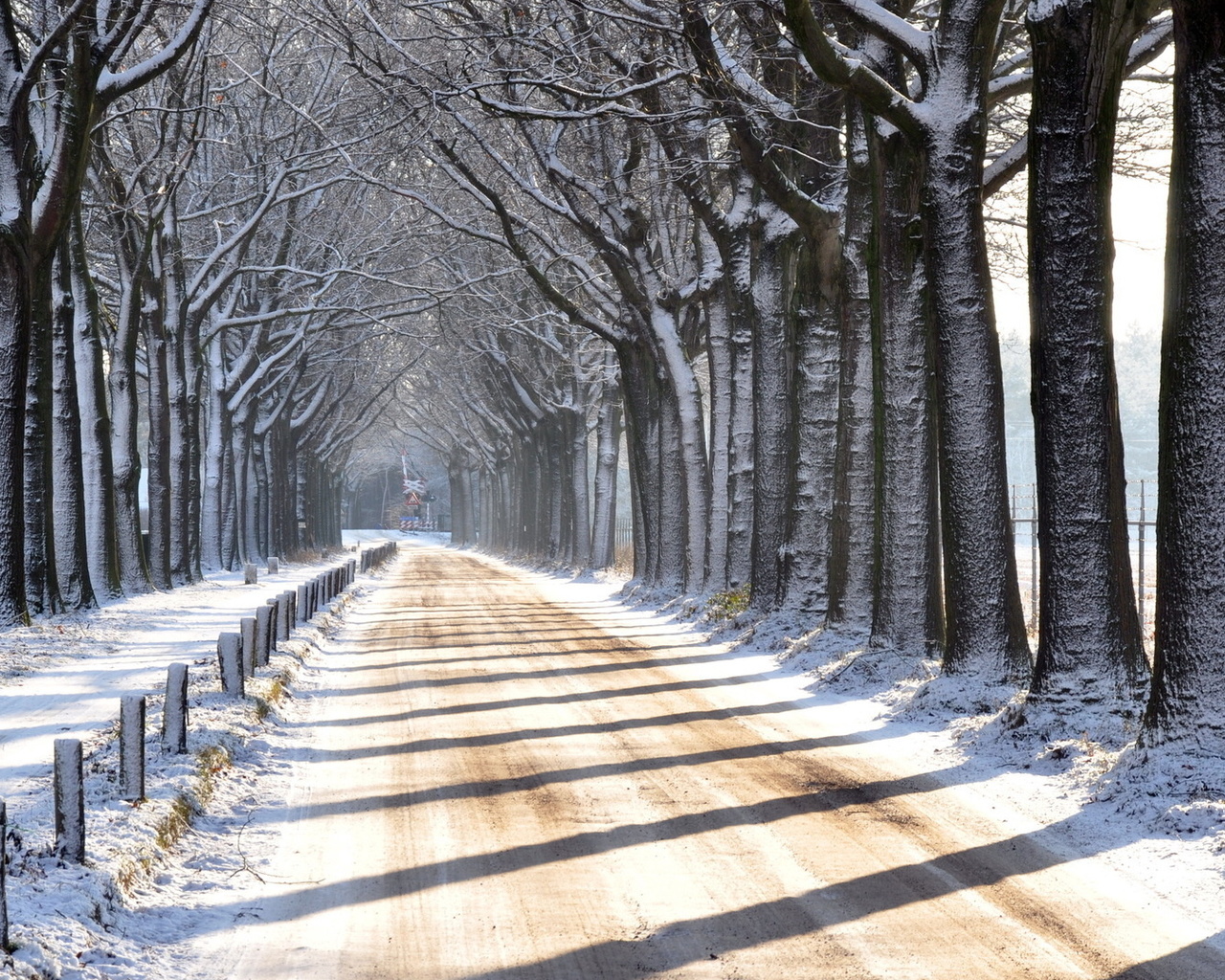 winter, trees, snow, path, mountain, road