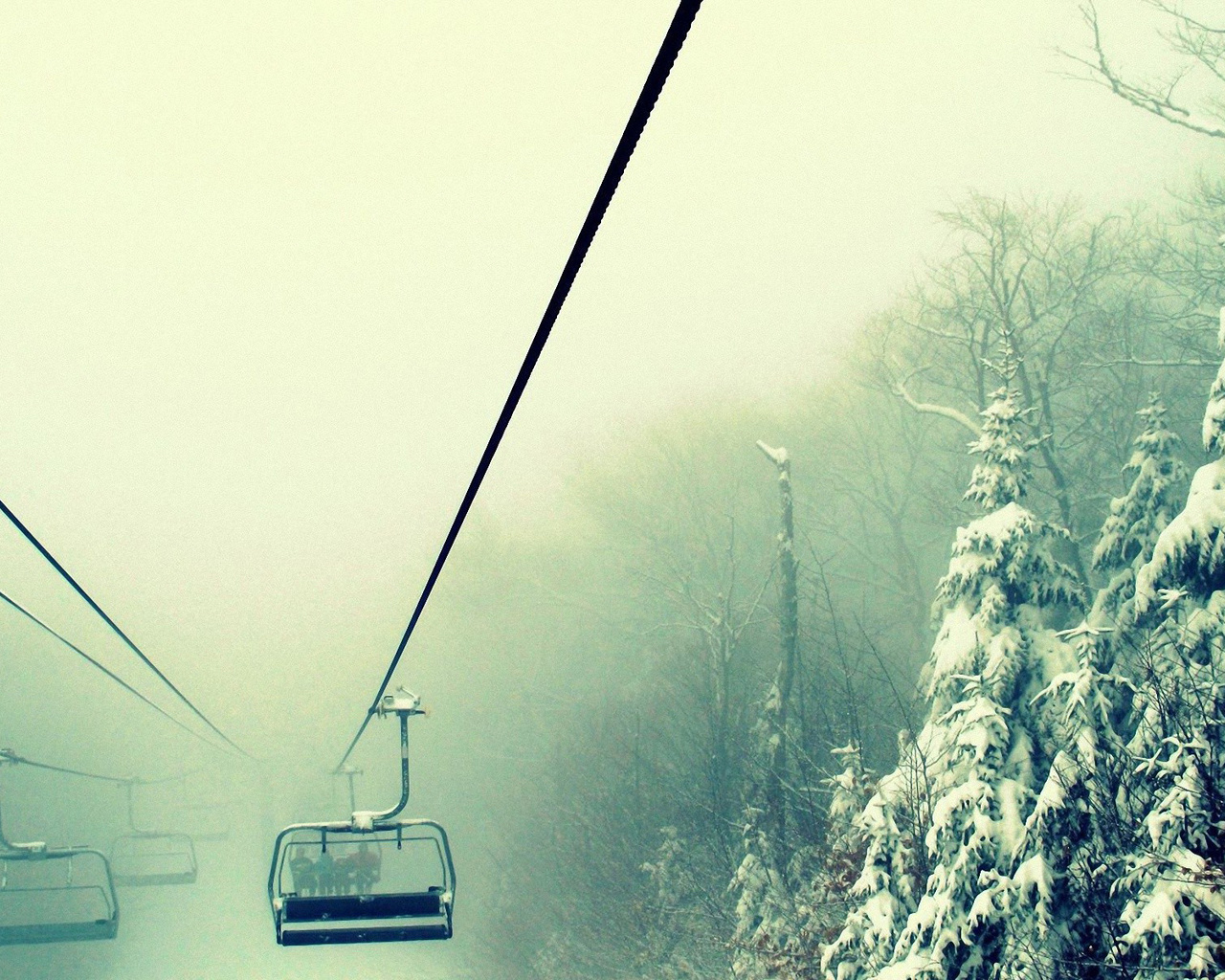 winter, trees, snow, path, mountain, moon, cabin, 