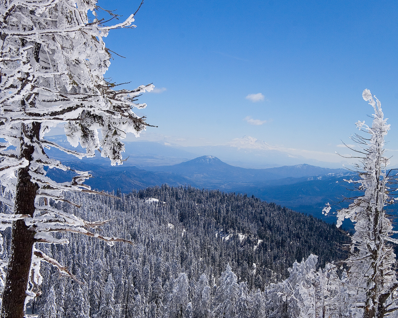 mountain, grass, gree, grass, sky, snow