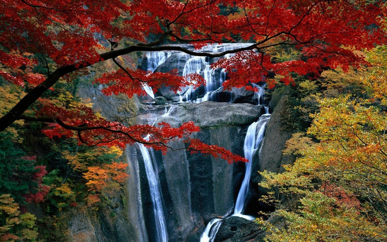 autumn, colors, trees, mountain, leaves, grass, waterfalls