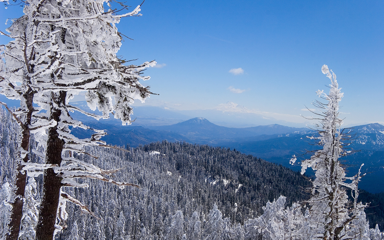 mountain, grass, gree, grass, sky, snow