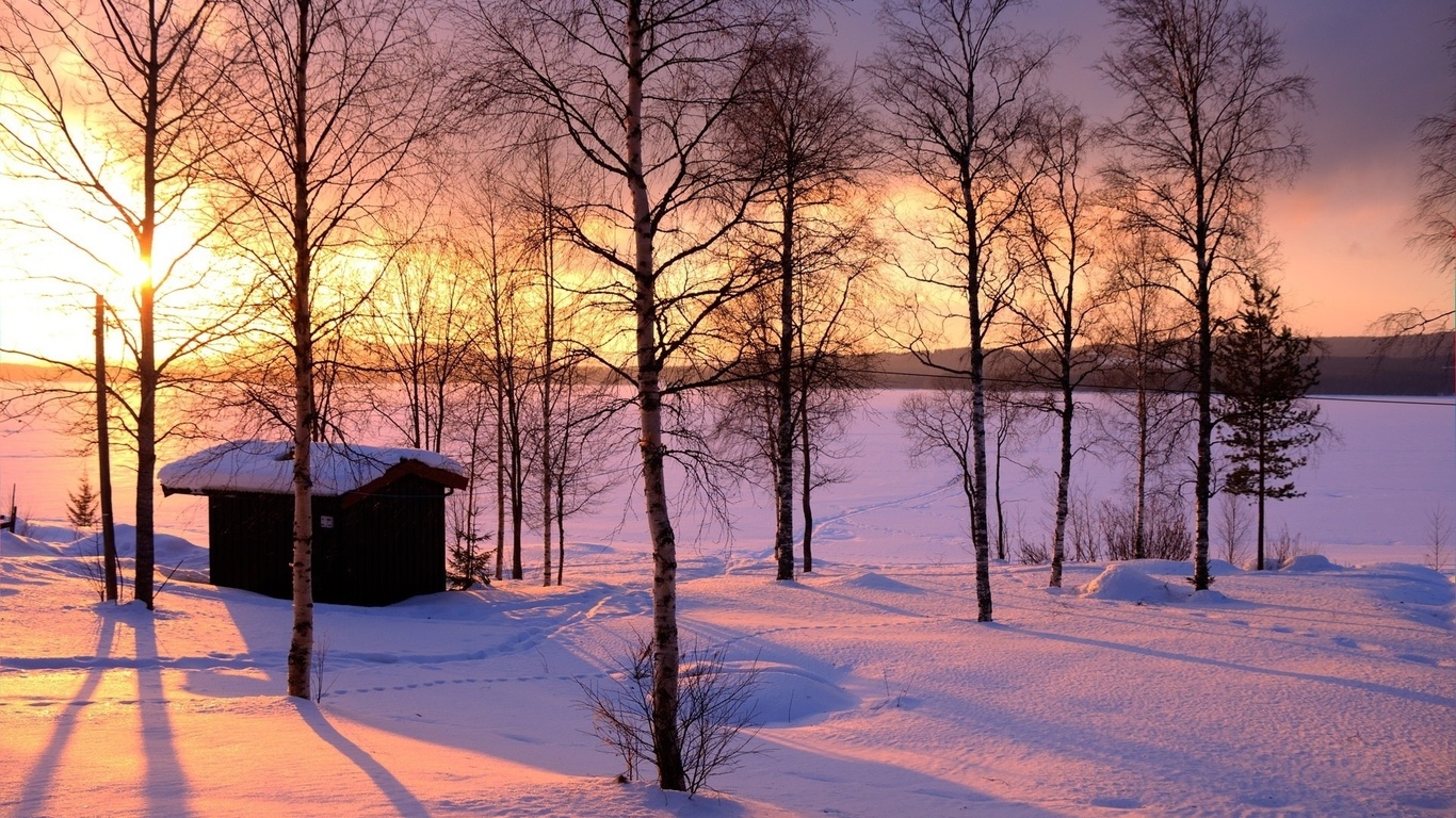 winter, trees, snow, path, mountain, moon, cabin