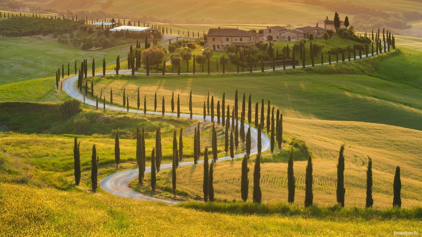 tuscany, italy, trees, grass, sky