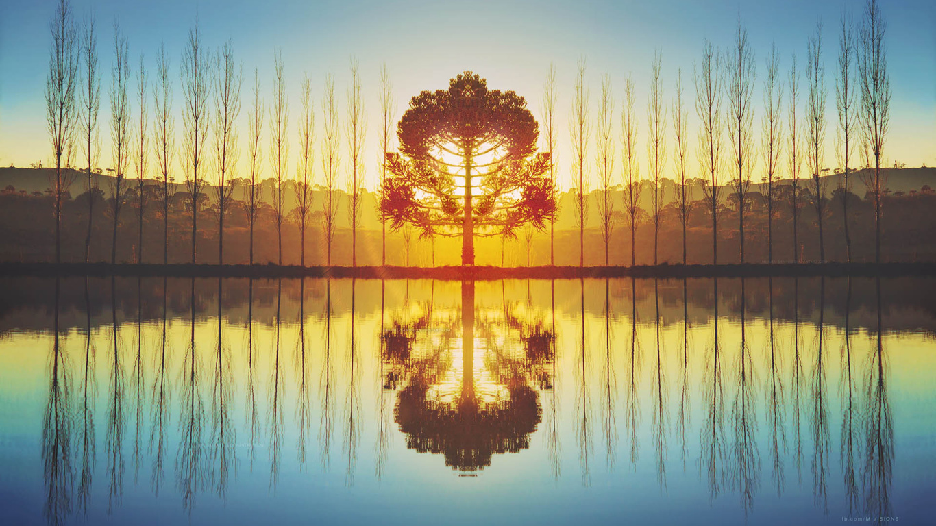 tree, lake, reflextion, sky