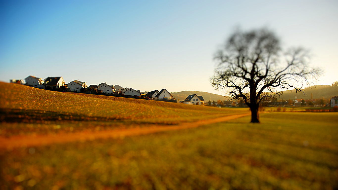 field, tree, grass, path, sky, clouds