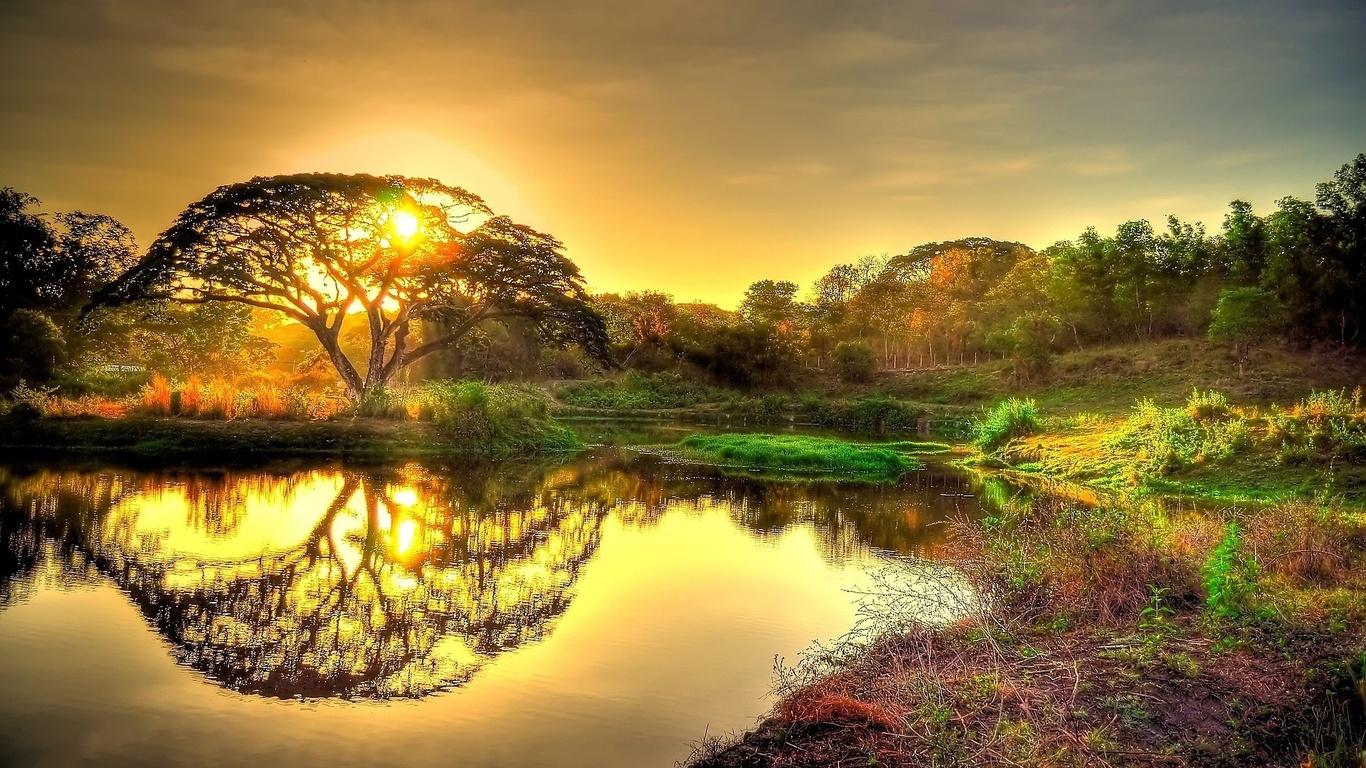 evening, tree, lake, water, sunlight, 