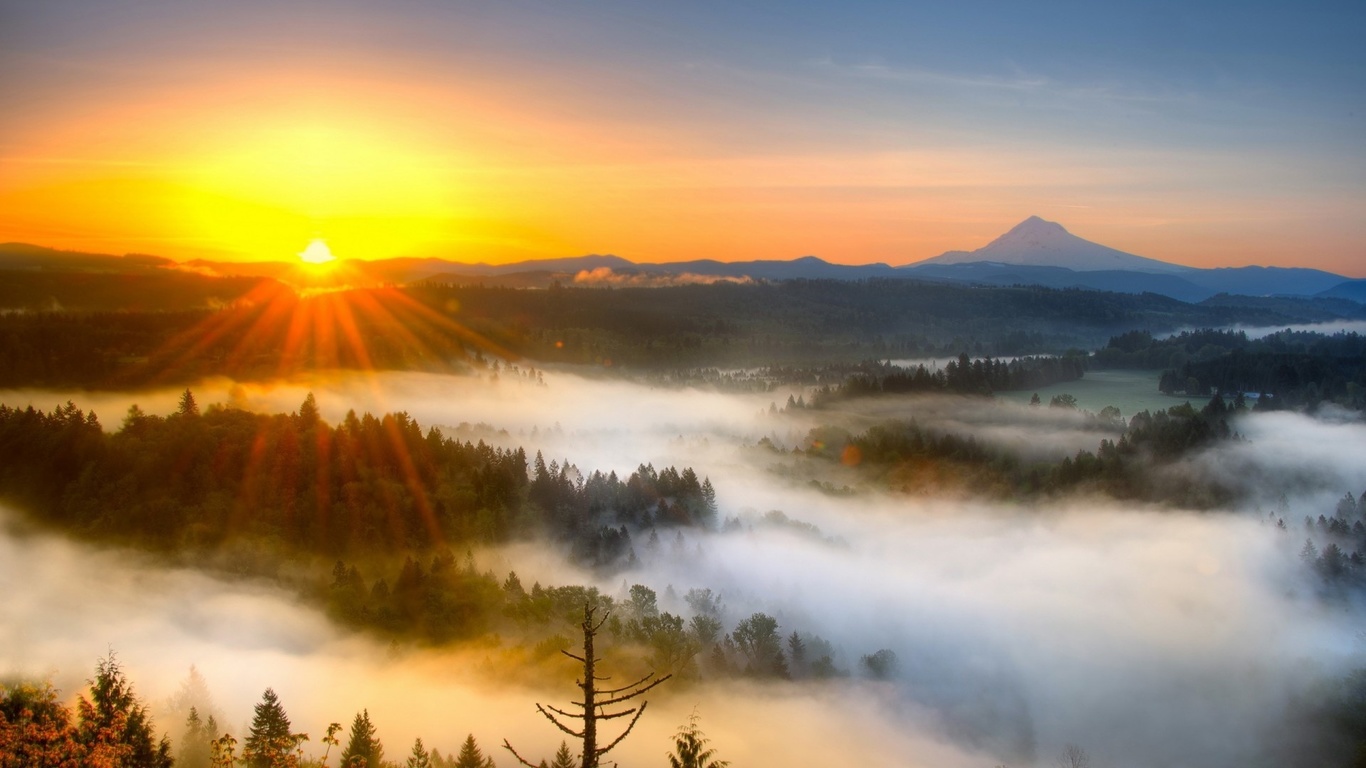 sunrise, sunlight, mountain, tree, clouds