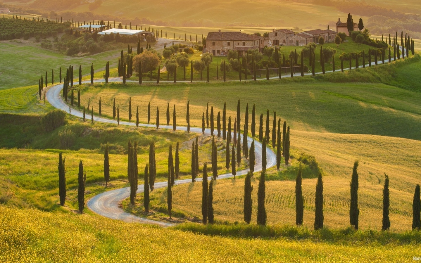 tuscany, italy, trees, grass, sky