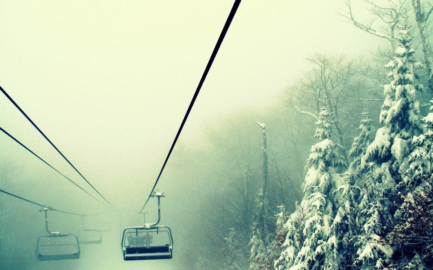 winter, trees, snow, path, mountain, moon, cabin, 