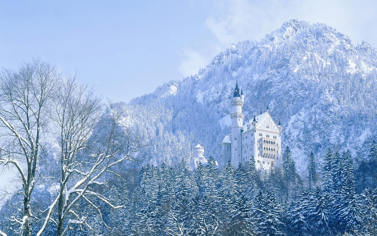 , , , , ,  , neuschwanstein