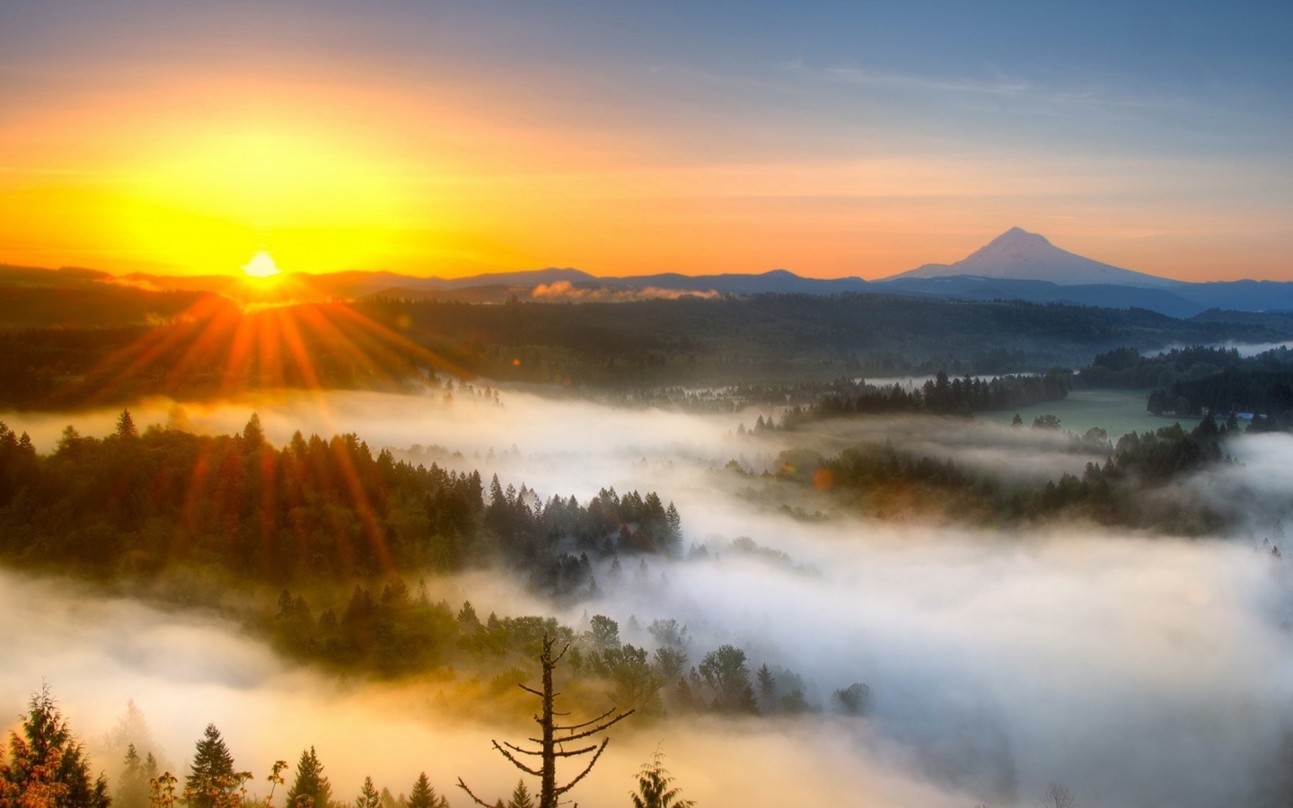 sunrise, sunlight, mountain, tree, clouds