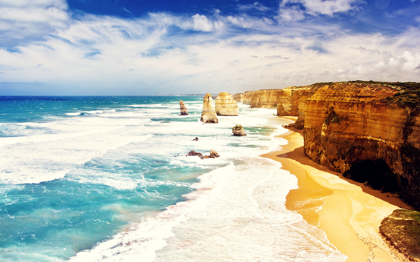 ocean, beach, tree, water, sky, sand