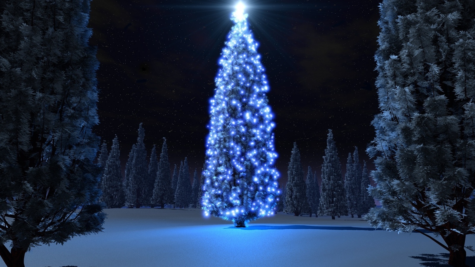 tree, christmas, light, night, snow