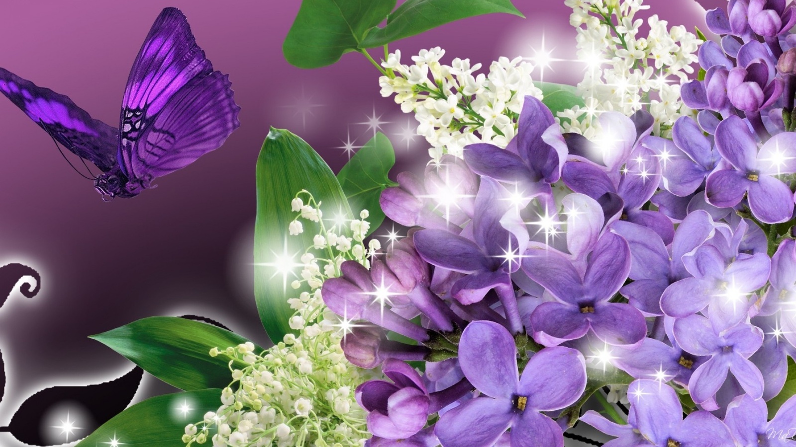 blossoms, butterfly, flower, purple