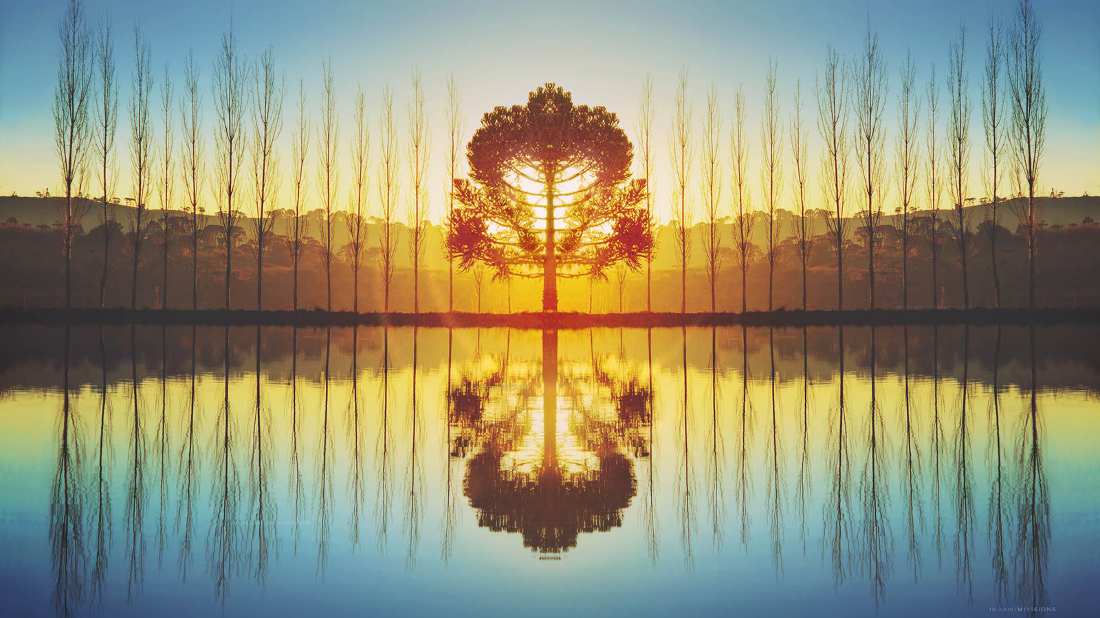 tree, lake, reflextion, sky