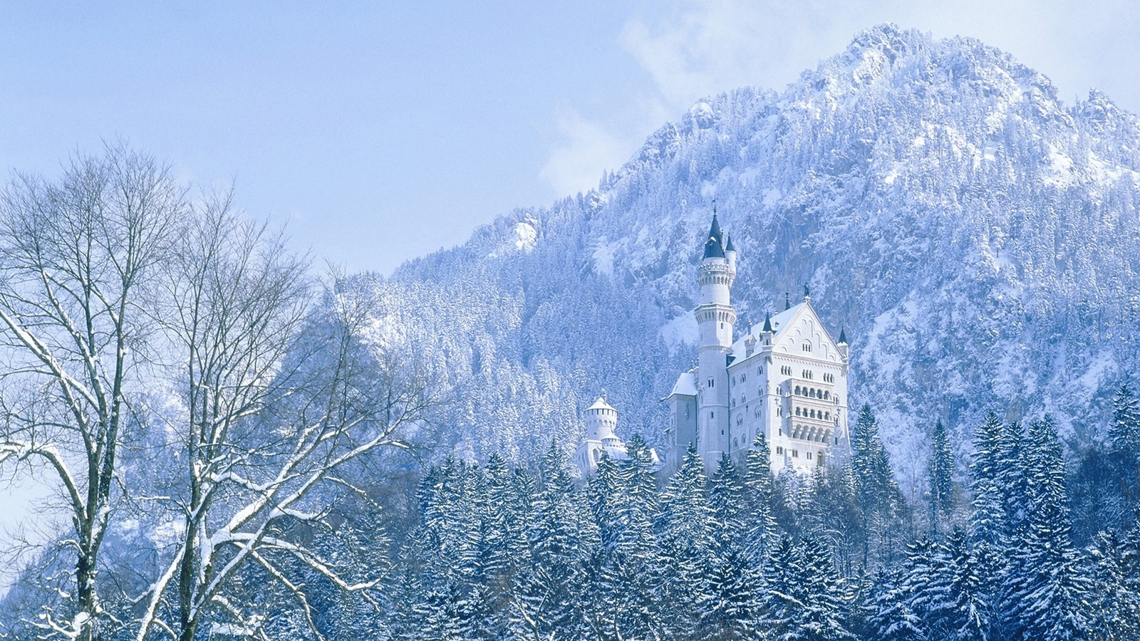 , , , , ,  , neuschwanstein