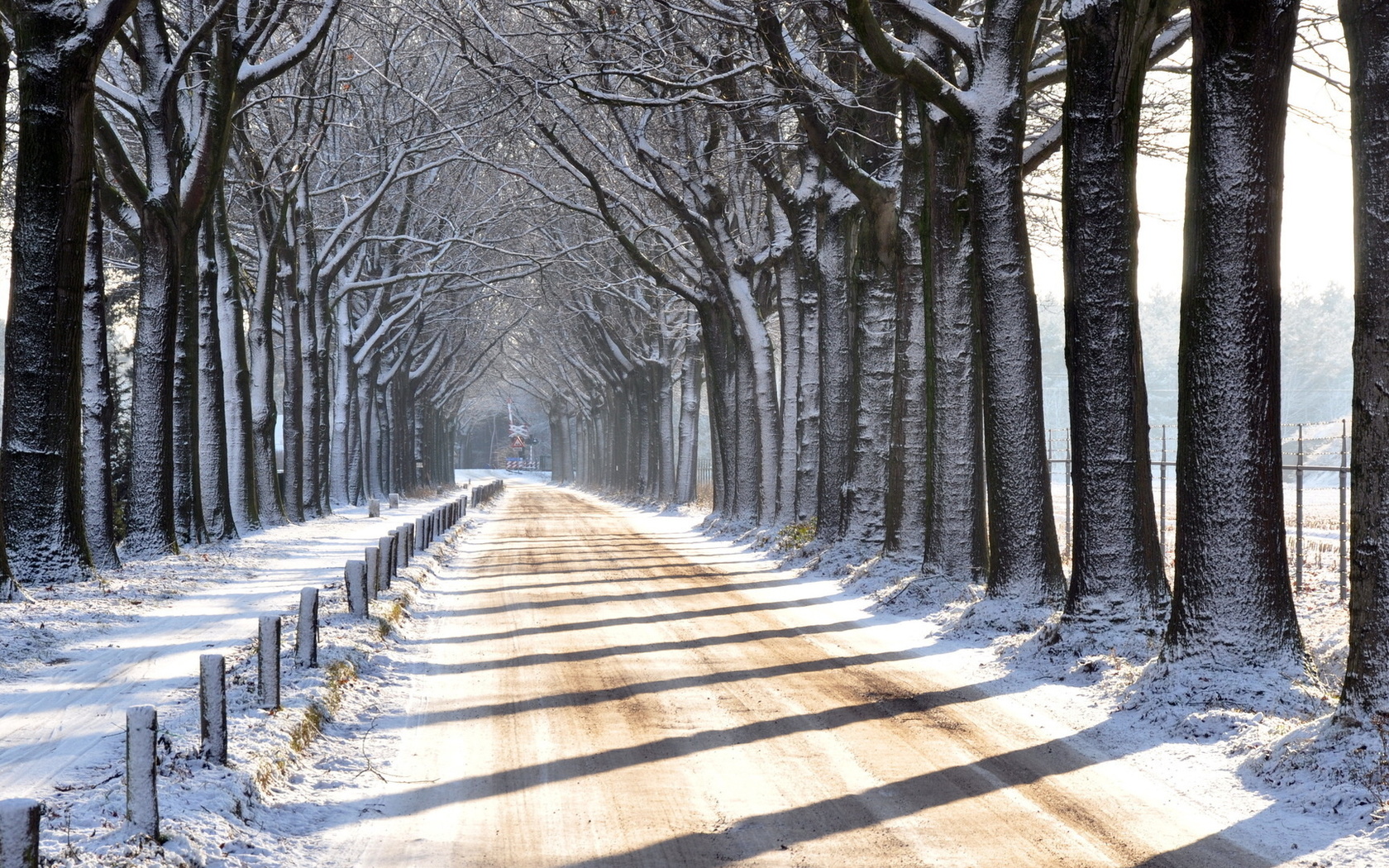 winter, trees, snow, path, mountain, road