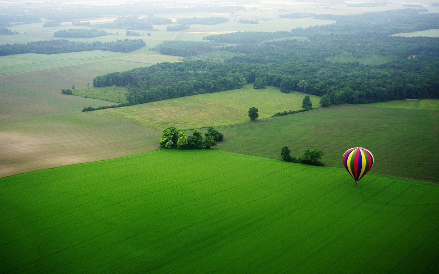 balloon, green, fly, tree, fields, sky