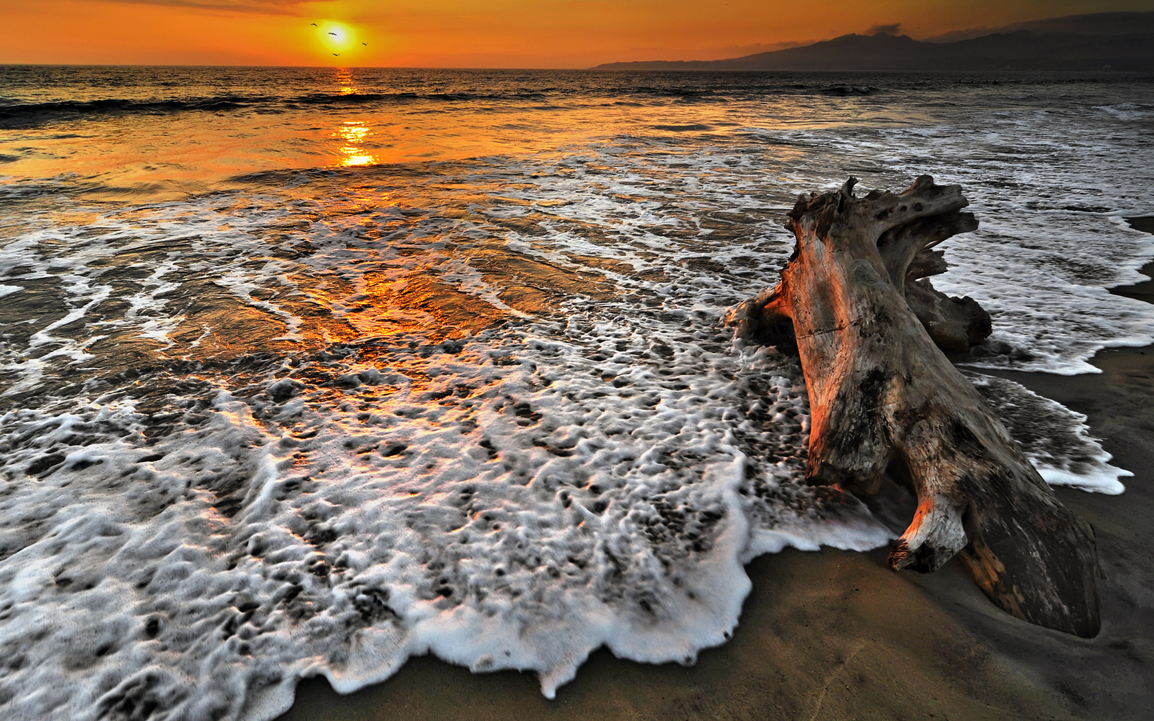 sunset, ocean, water, sky, clouds