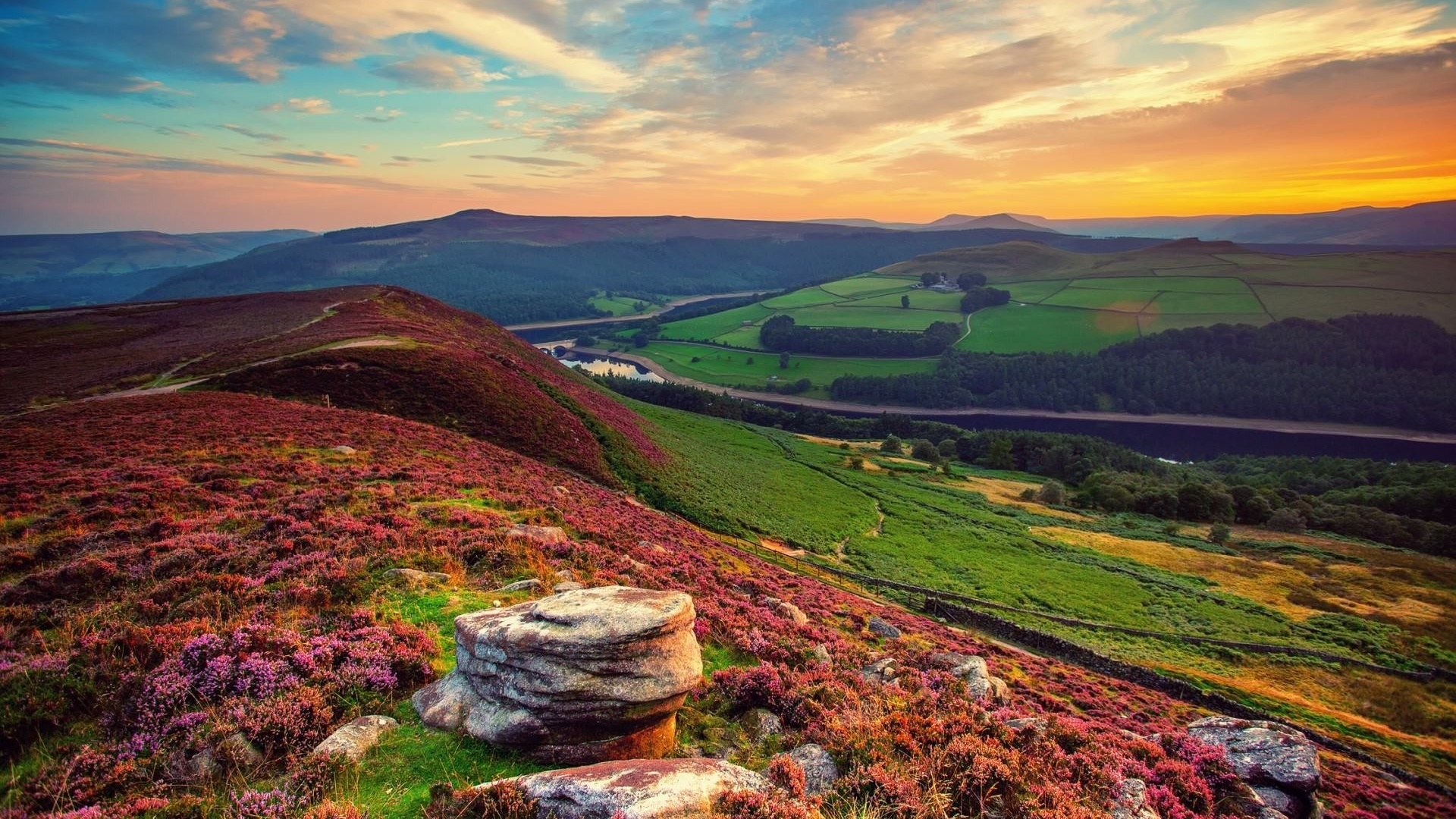 hills, fields, colors, trees, grass, sky