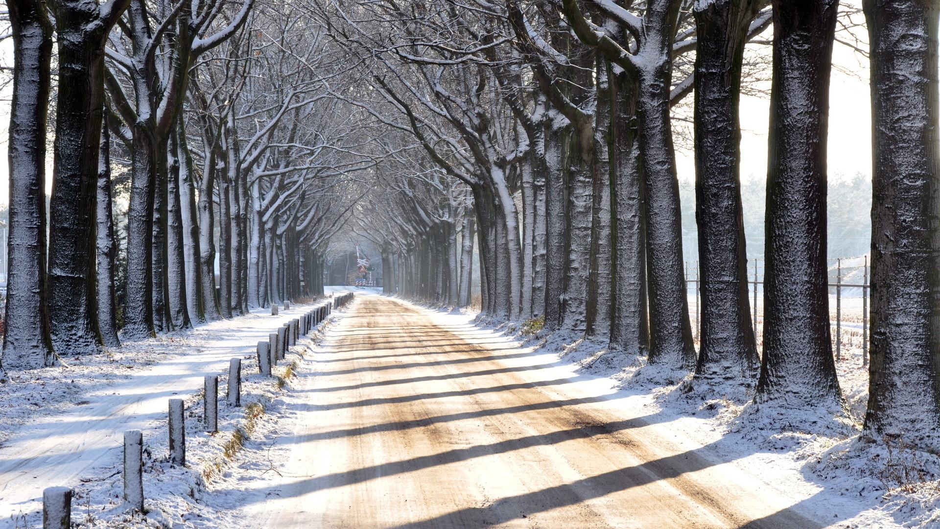 winter, trees, snow, path, mountain, road