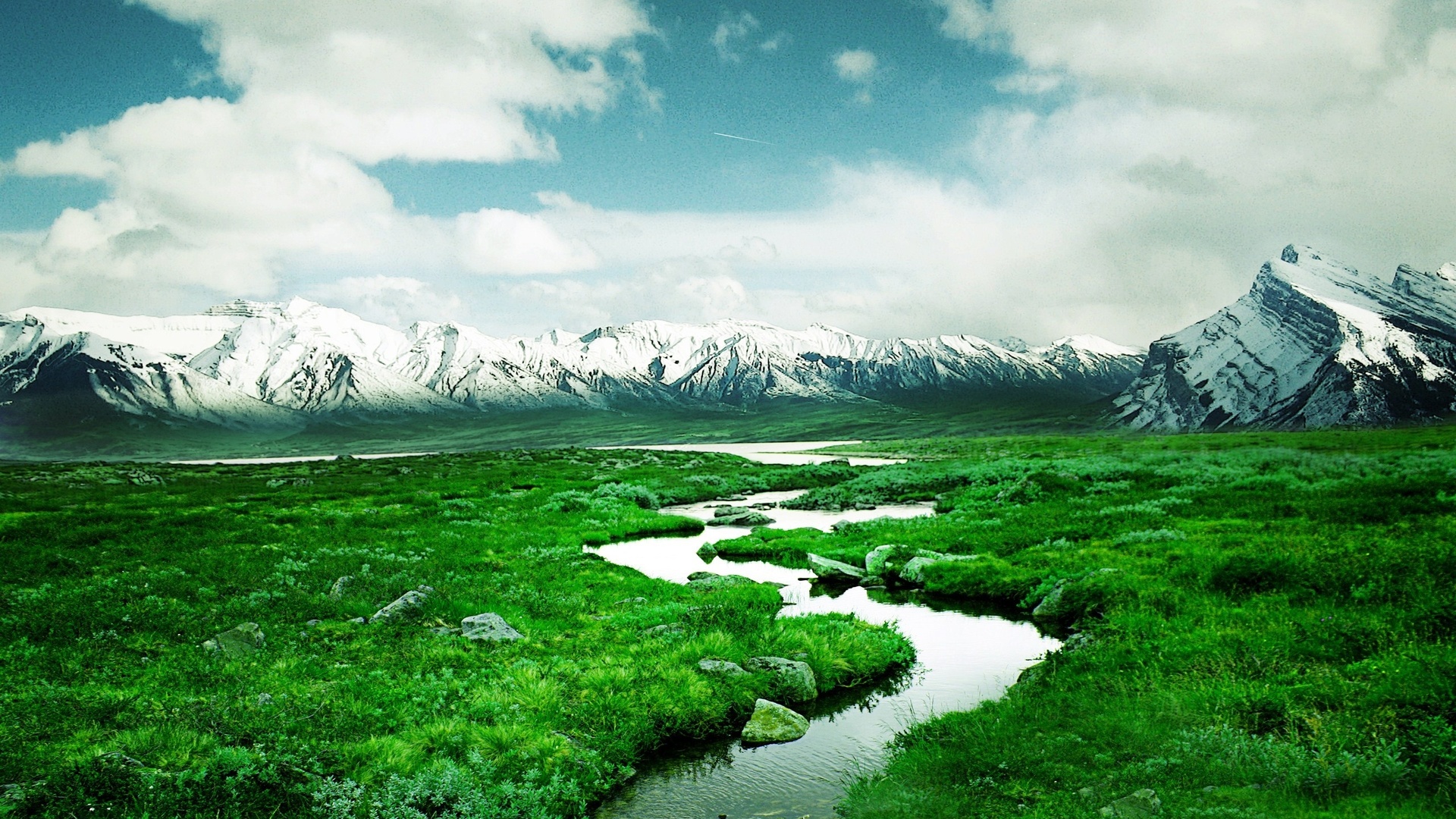 delta, river, green, path, water, fields