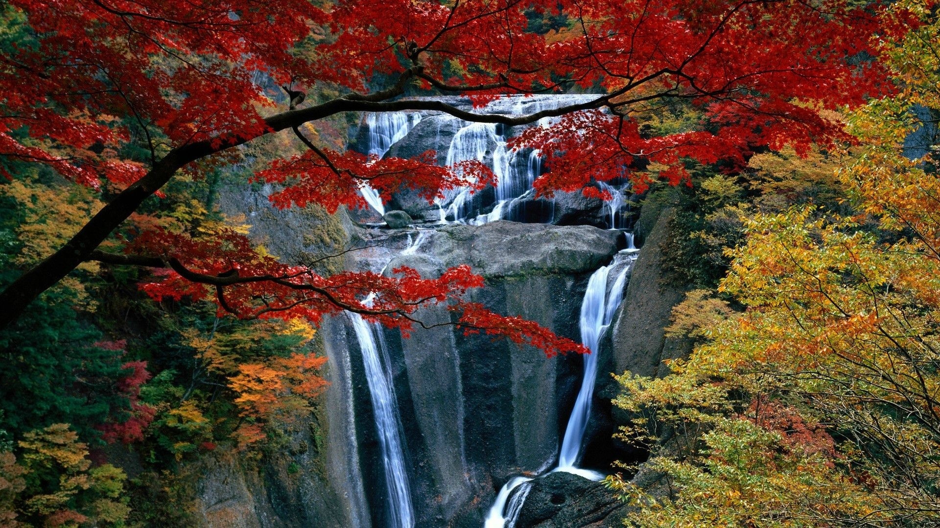 autumn, colors, trees, mountain, leaves, grass, waterfalls