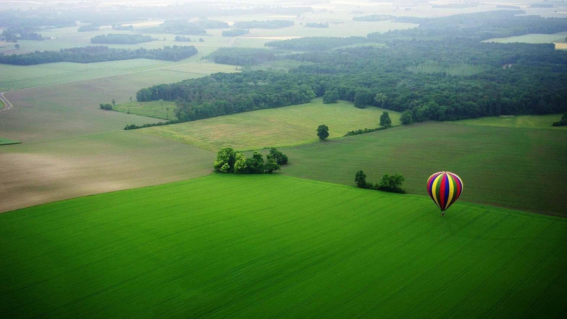 balloon, green, fly, tree, fields, sky