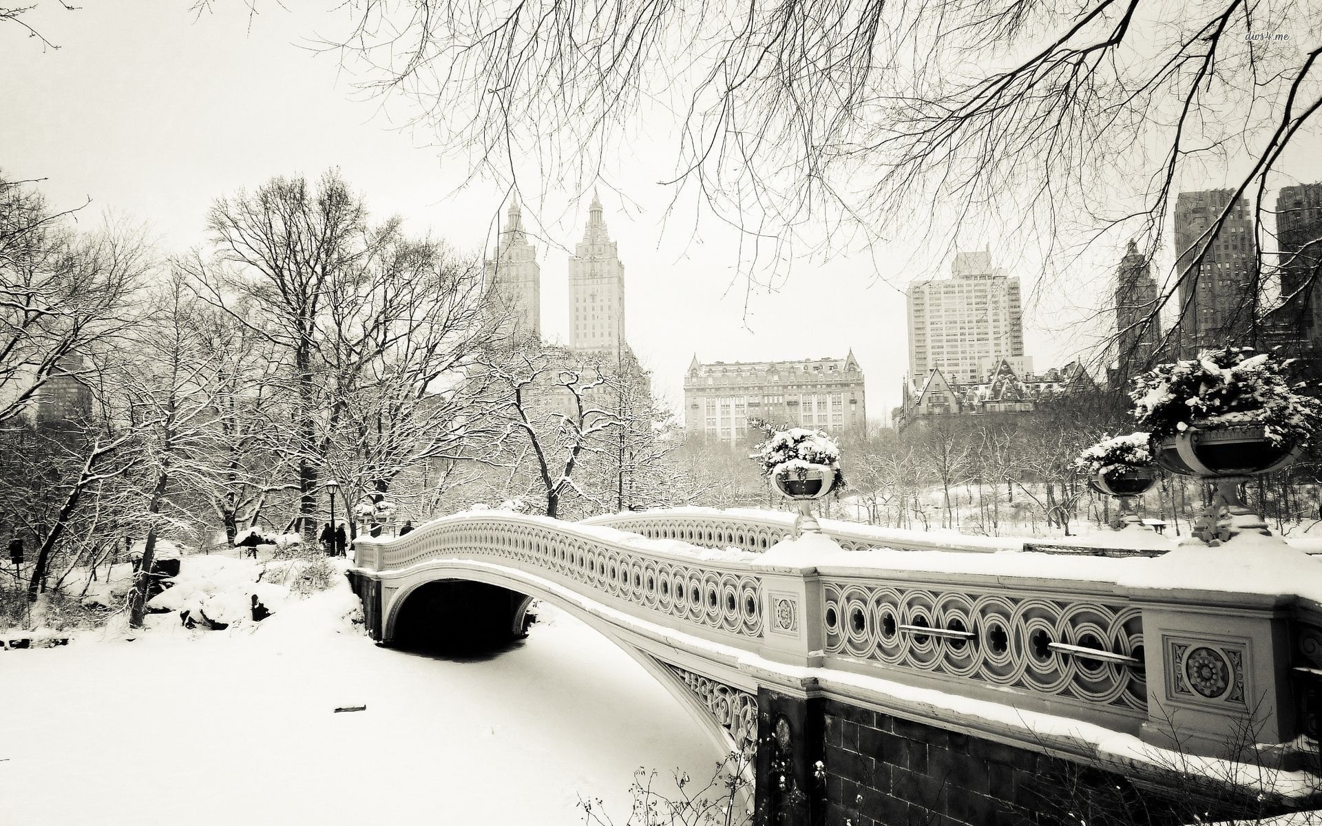 winter, new york, bridge, snow, tree, ice