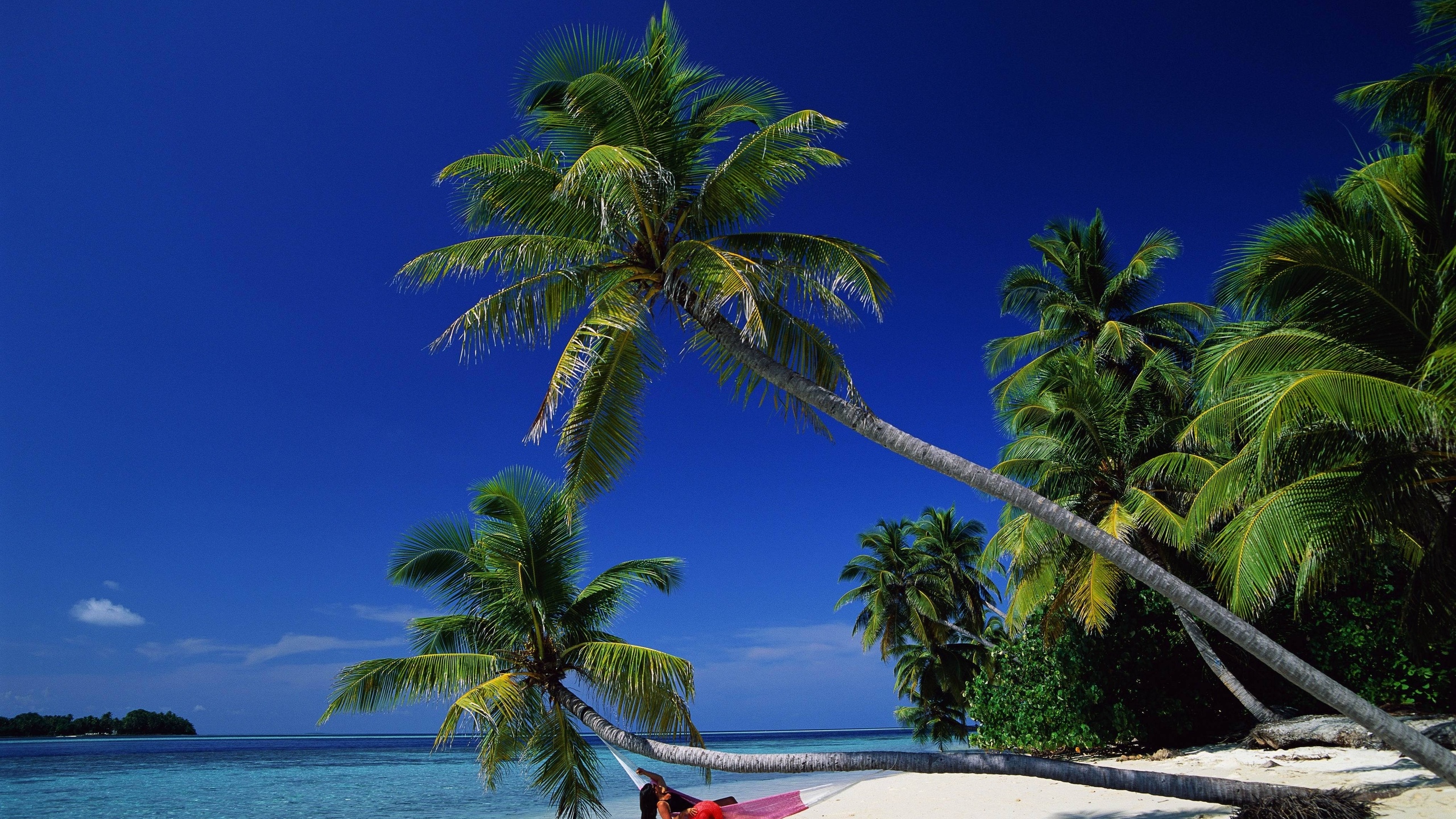 ocean, sea, palm, sand, girl