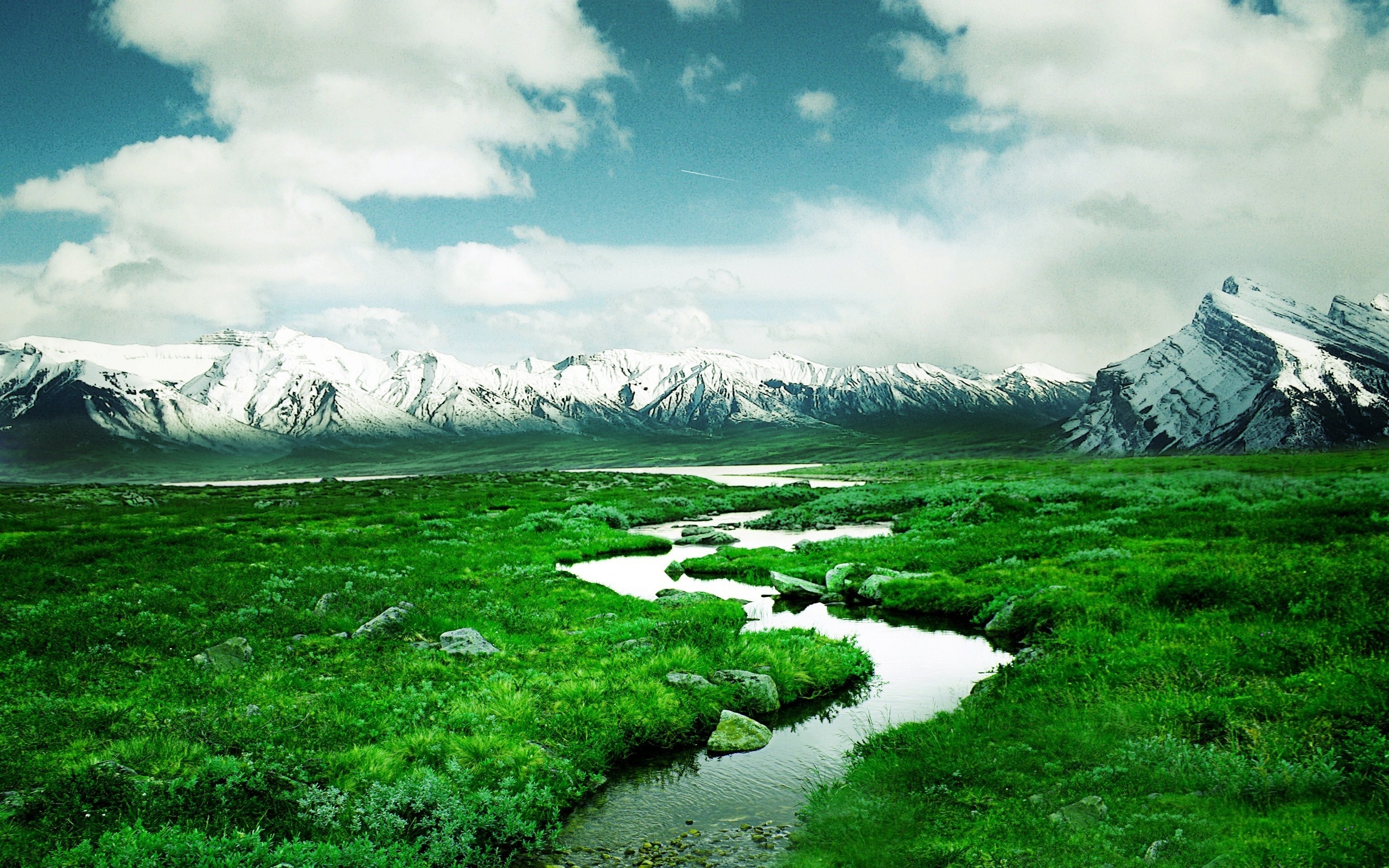 delta, river, green, path, water, fields